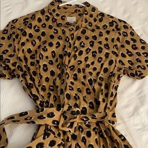 Take a walk on the wild side! 🐆